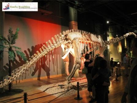 Apatosaurus skeleton, Dinosaurs Unearthed, Union Station