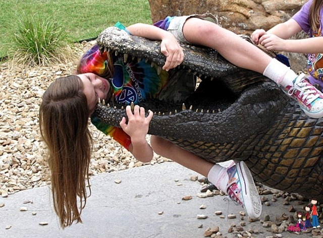 Alligator Wrestling Oklahoma Aquarium