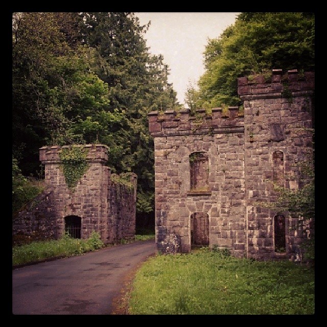 Castle Caldwell Forest entrance, County Fermanagh, Northern Ireland