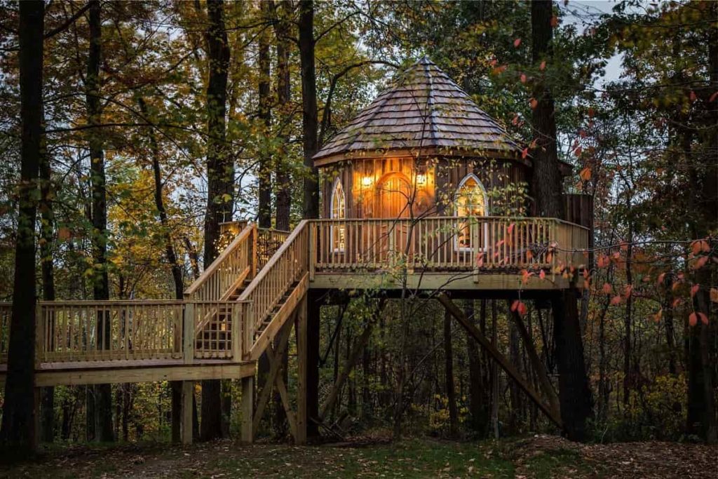 The_Nest_treehouse_The_Mohicans